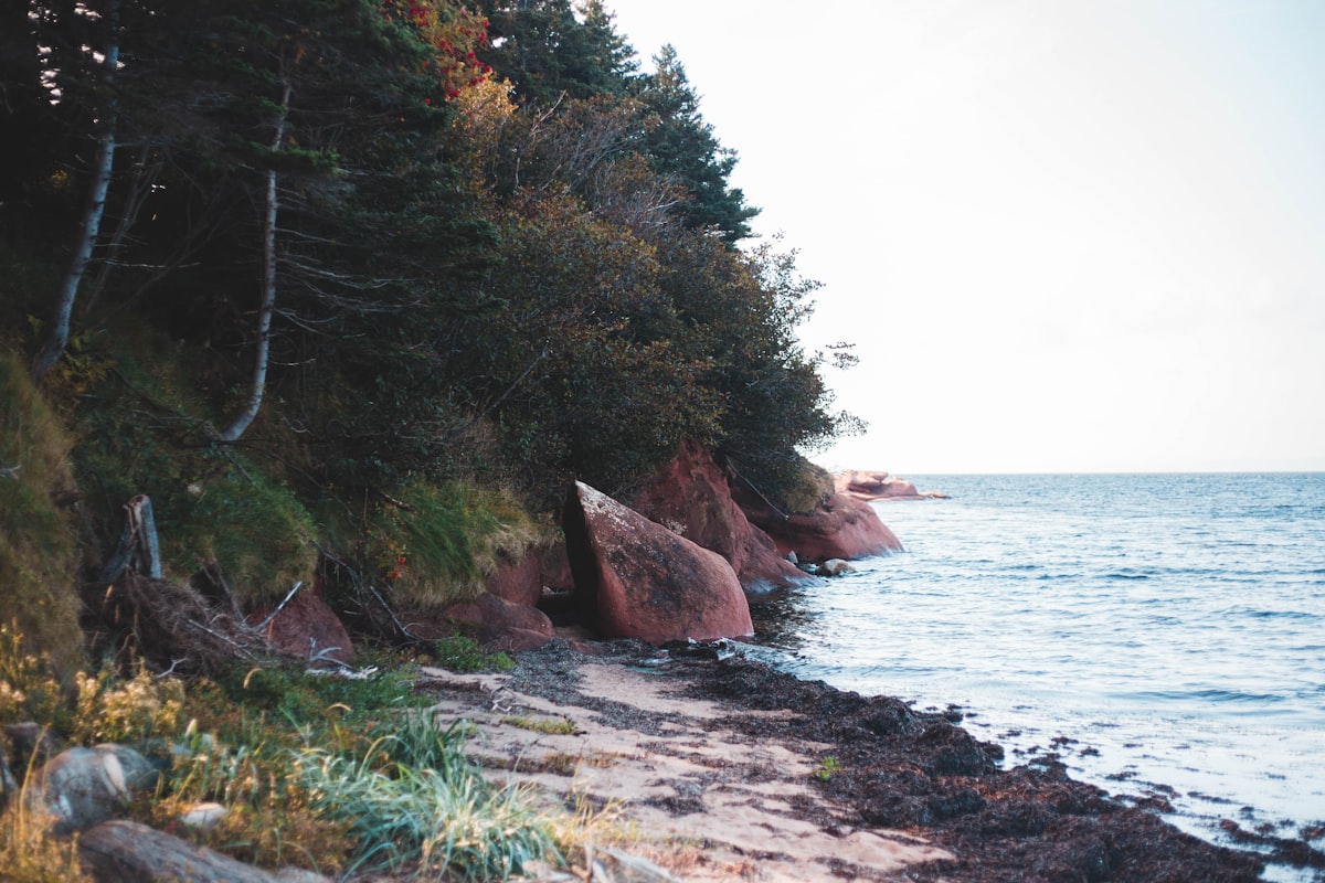 Penetanguishene harbour and waterfront
